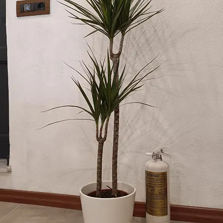 La Torre *